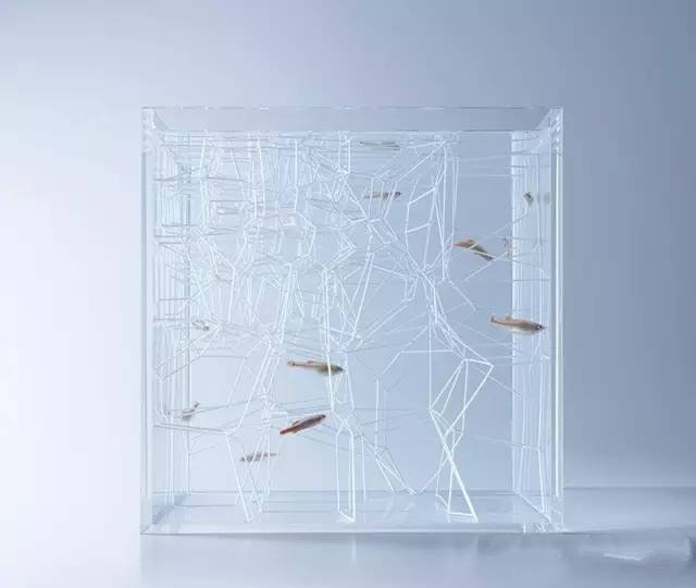 精美3d打印創(chuàng)意作品圖片欣賞 你見(jiàn)過(guò)3D打印的魚(yú)缸么?