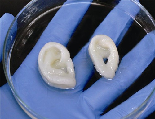 簡(jiǎn)述3D打印技術(shù)在醫(yī)療行業(yè)應(yīng)用情況_e鍵3D打印服務(wù)