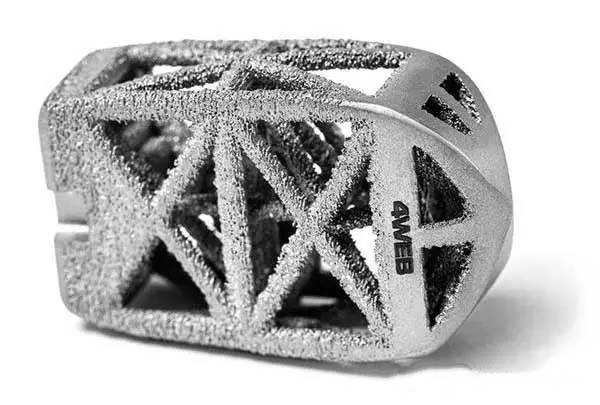 脊椎后路桁架系統