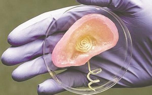 3d打印應(yīng)用案例:3D打印人體器官的那些事兒